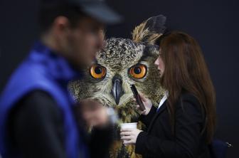 Podnebna konferenca najverjetneje v podaljške