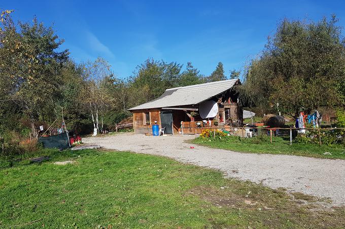 Krvav obračun zaradi pasjega laježa | Foto: Domen Anderle