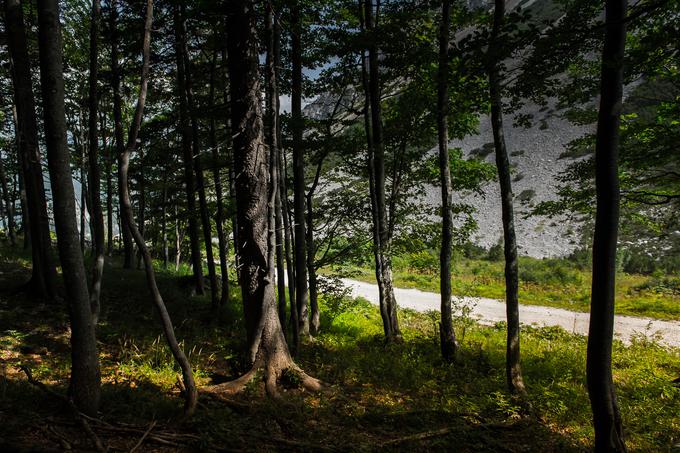 To so kraji, ki so kot svetišče za vse ljudi, ki želijo v neokrnjeno naravo in gore po svoj osebni mir.  | Foto: Klemen Korenjak