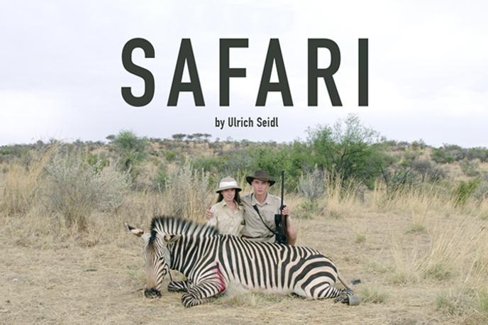 Safari