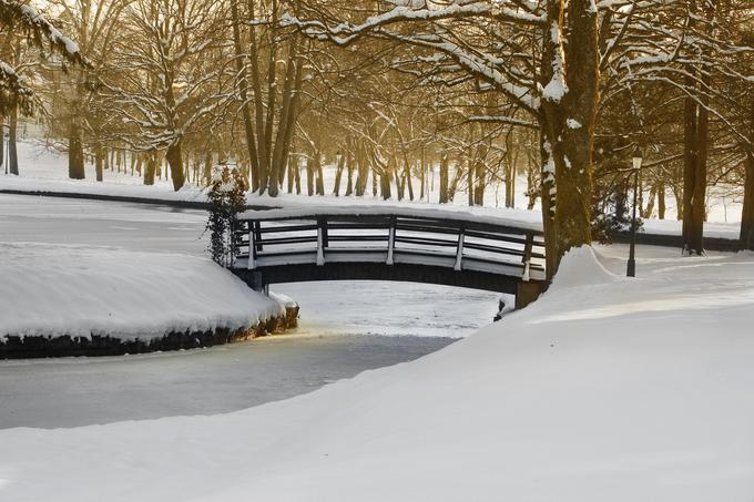 Foto: Matjaž Žnidaršič | Foto: 