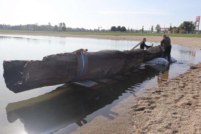 deblak, Soboško jezero | Foto: Matic Prevc/STA