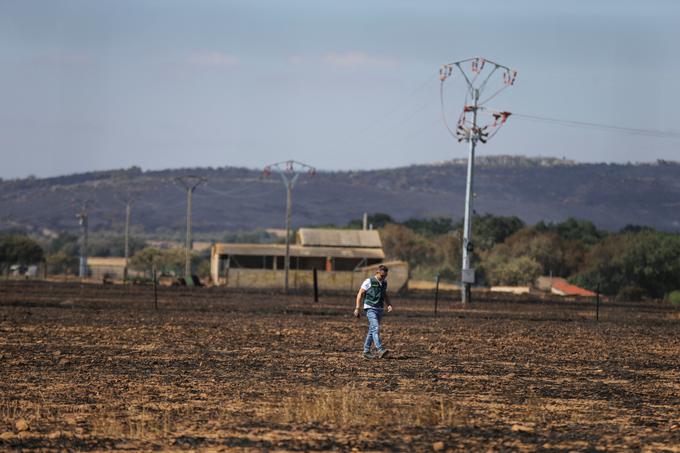 Španija | Foto: Reuters