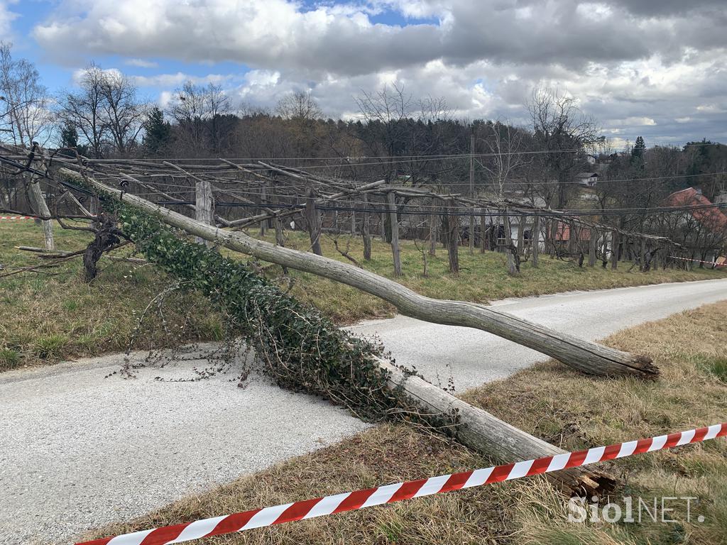 Električni drog Fram