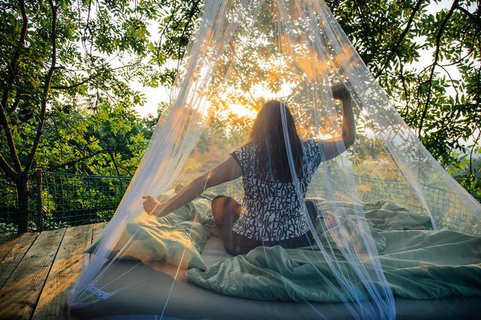 bivanje v krošnjah | Od raznolikih glamping prenočišč do visečih mrež in drevesnih hišic v krošnjah, zaporniških celic in "vesoljskih" kapsul. Slovenija skriva marsikaj, od najbolj preprostih do najbolj luksuznih inovativnih možnosti bivanja. | Foto bivanjevkrosnjah.si