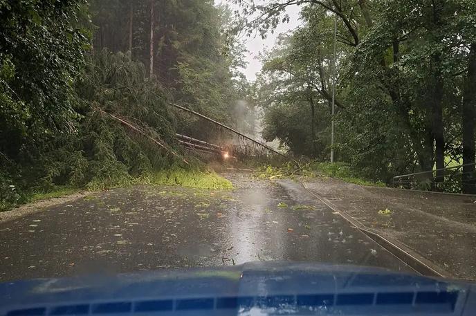 Vetrolom | Fotografija prikazuje enega od preteklih vetrolomov v Sloveniji.  | Foto Žiga Bačnar / Meteoinfo Slovenija