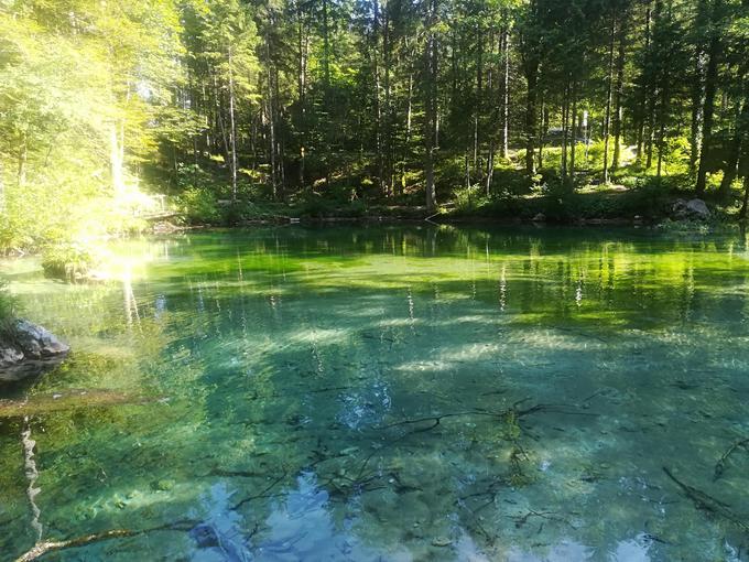 Odkirvaj Slovenijo | Foto: 