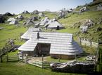 Velika Planina