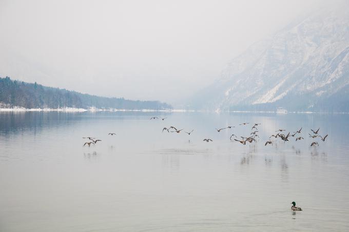 Odkrivaj Slovenijo | Foto: 