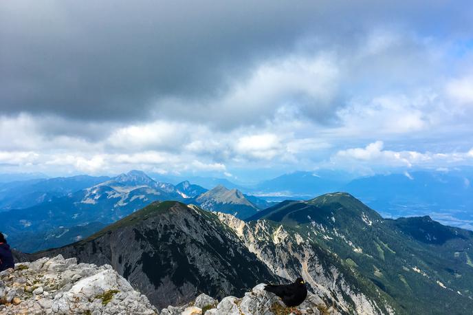 Stol | Pogrešanega smučarja še iščejo.  | Foto Špela Lenart