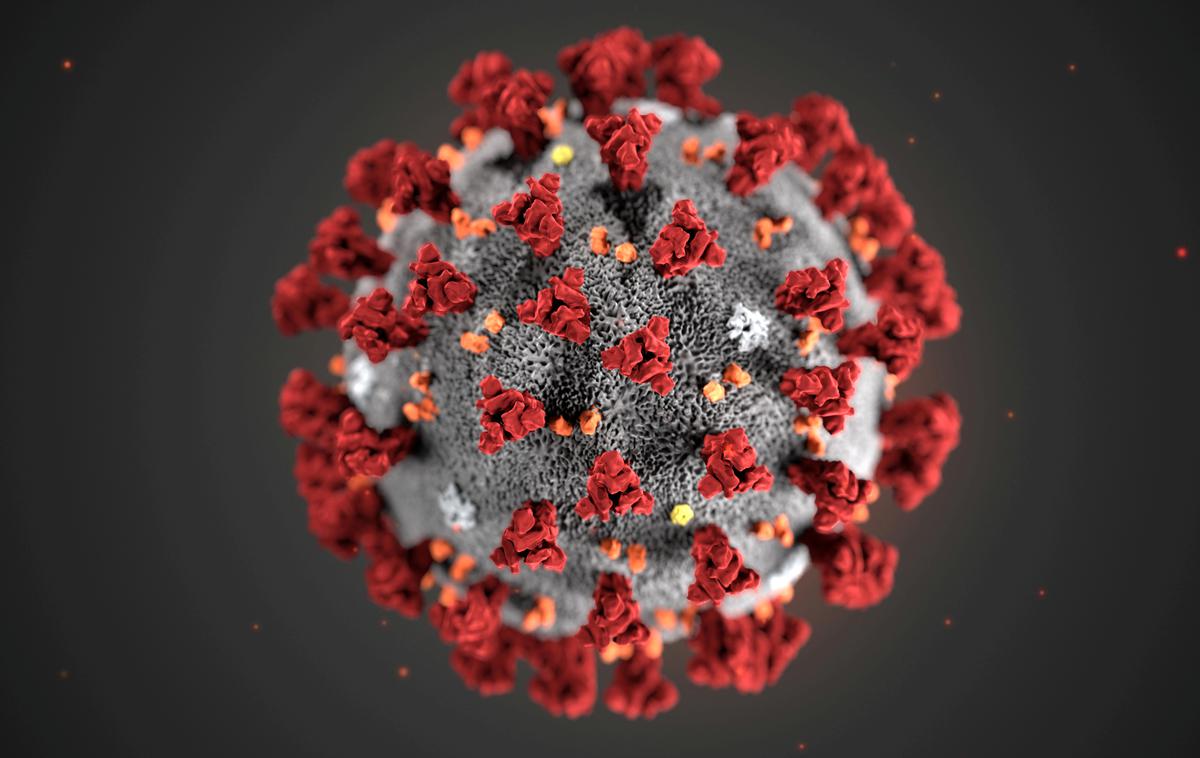 Koronavirus | Tudi v Evropi intenzivno razmišljajo o uvedbi aplikacij, ki bi (lahko) ugotavljale, kdo je s kom bil v stiku, kar bi epidemiologom zelo pomagalo pri preprečevanju nadaljnjih okužb, če bi se ugotovilo, da je nekdo zbolel s Covid-19. | Foto Reuters