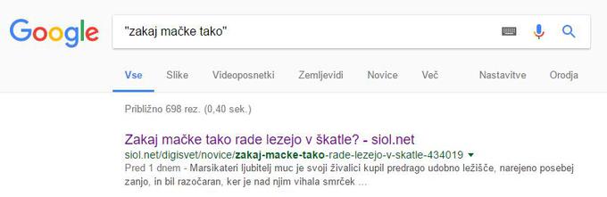 Google iskanje | Foto: Matic Tomšič