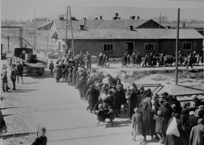 Holokavst, koncentracijsko taborišče, Auschwitz | Foto: Thomas Hilmes/Wikimedia Commons