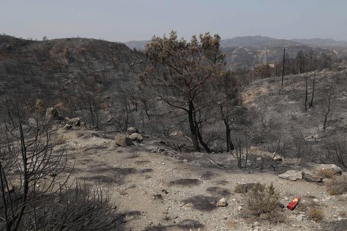 Grčija, požari | Foto: Reuters