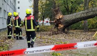 Silovit veter povzroča težave, na Poljskem umrle štiri osebe #foto