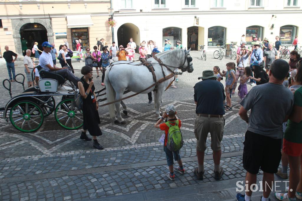 konji lipicanci ljubljana