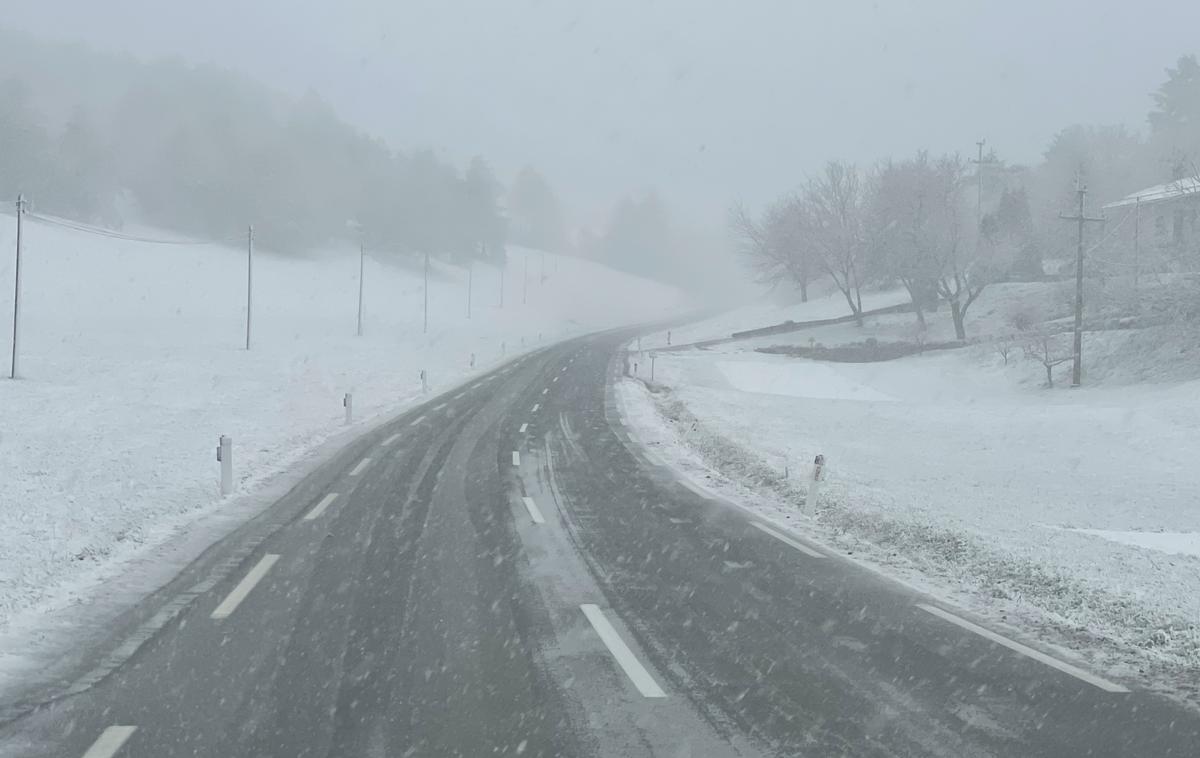 reli Vipavska dolina Predmeja | Zaradi nevarnih razmer so morali včeraj odpovedati dve hitrostni preizkušnji relija Vipavska dolina, ki bi morali peljati prek Predmeje nad Ajdovščino. | Foto Gregor Pavšič