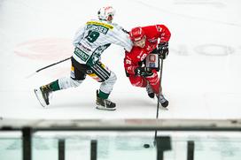 Alpska liga: HDD Sij Acroni Jesenice - EC Bregenzerwald