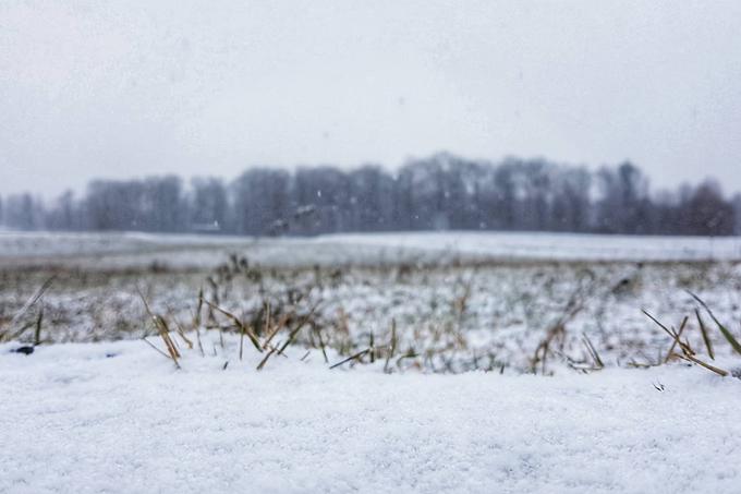 Ponekod v Sloveniji se sneg že oprijema cest, med drugim tudi v Kropi.  | Foto: Mojca in Gašper Vrhunc