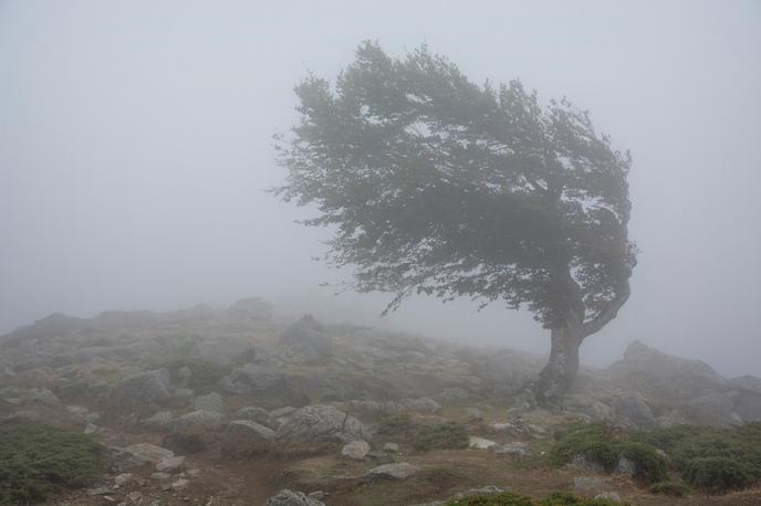 Neurje, veter, nevihta | Sunke do 100 kilometrov na uro so izmerili tudi  na Ratitovcu, Uršlji gori in na Krvavcu. | Foto Shutterstock