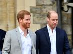 WIlliam in Harry