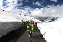 prela Gavia giro sneg