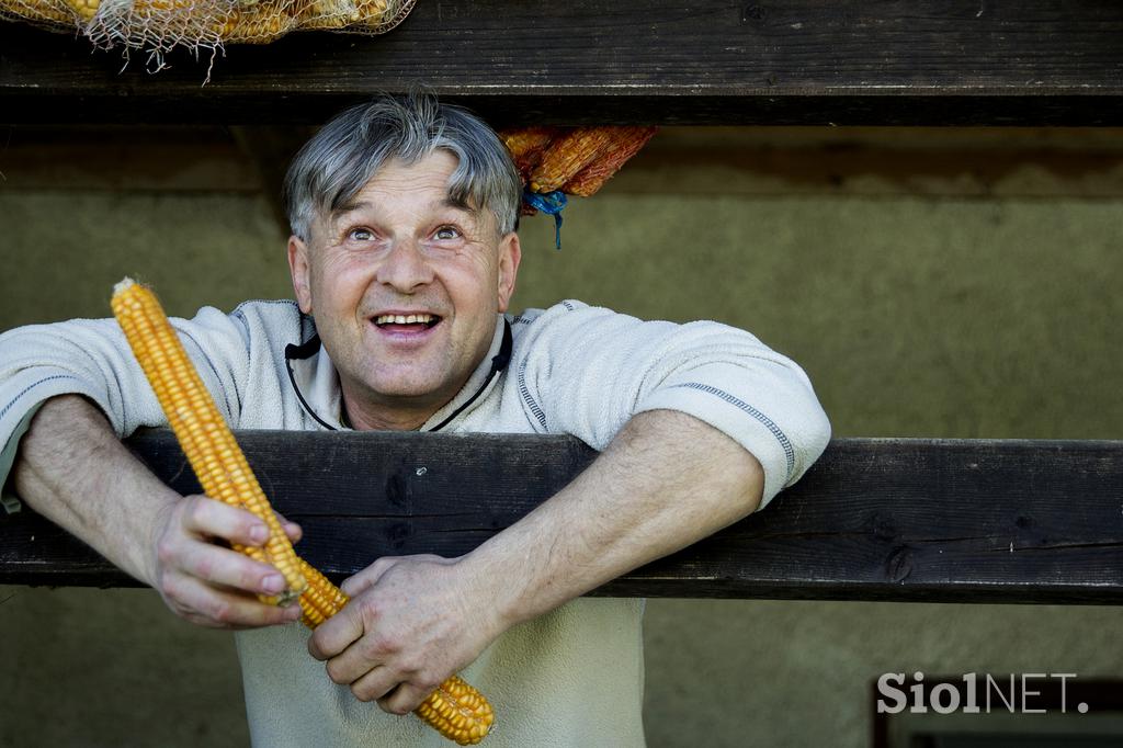 Stanko Valpatič ekološka kmetija vegan veganski izdelki Za naravo Društvo za osvoboditev živali krava veganstvo hrana