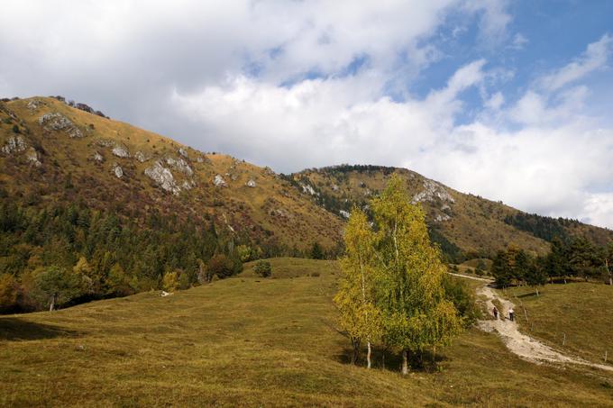 Strma južna pobočja Kamniškega vrha s planine Ravne senožeti | Foto: Matej Podgoršek