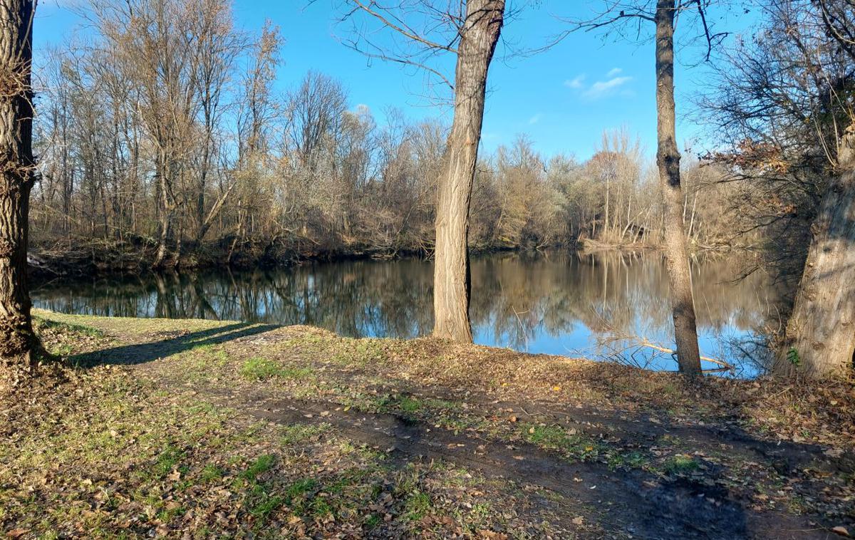 Jezero | Kriminalist je takoj skočil na pomoč.  | Foto PU Murska Sobota