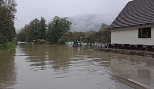 Krka bo v soboto še poplavljala, a bo gladina vode nato začela upadati  #foto #video