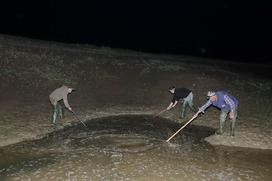 Cerkniško jezero reševanje rib