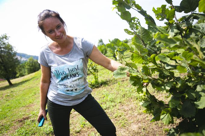 Na kmetiji imajo 30 vrst in 100 sort sadja, glavni vir prihodka pa jima bodo v nekaj letih prinašali pet hektarjev velik nasad lesk in trije hektarji orehov. | Foto: Bojan Puhek