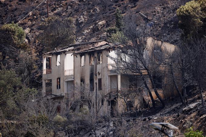 Na območju Palerma je umrla 88-letna ženska, ki je imela zdravstvene težave, a reševalcem zaradi požara ni uspelo dovolj hitro priti do nje. Še dve osebi, stari okoli 70 let, pa sta umrli potem, ko je požar zajel njuno hišo. | Foto: Reuters