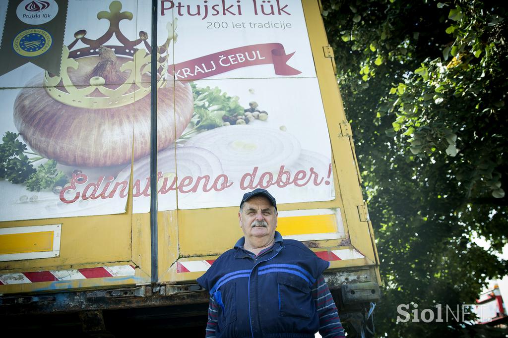 Kmetija majerič Branko Ptuj Ptujski lük čebula ohranitveno kmetijstvo