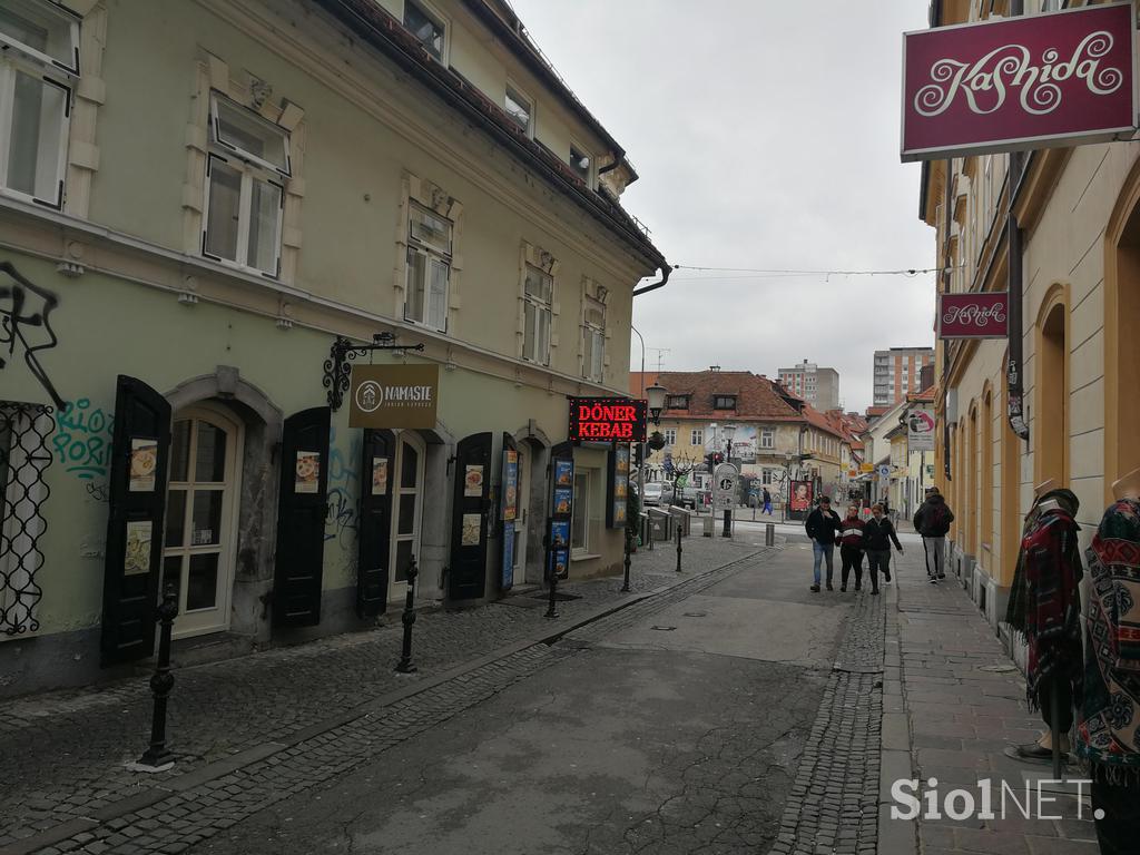 Podnebni štrajk, 15.3.2019