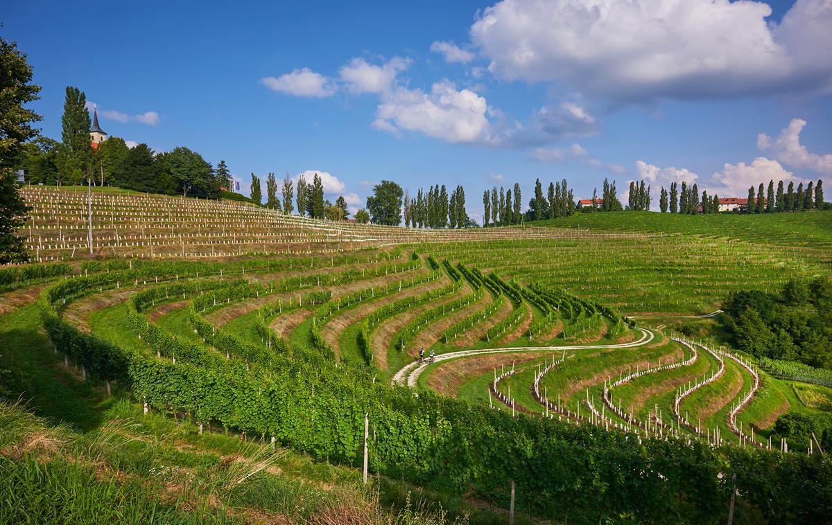 Jeruzalem, Prlekija | Foto Tomo Jeseničnik (www.slovenia.info)