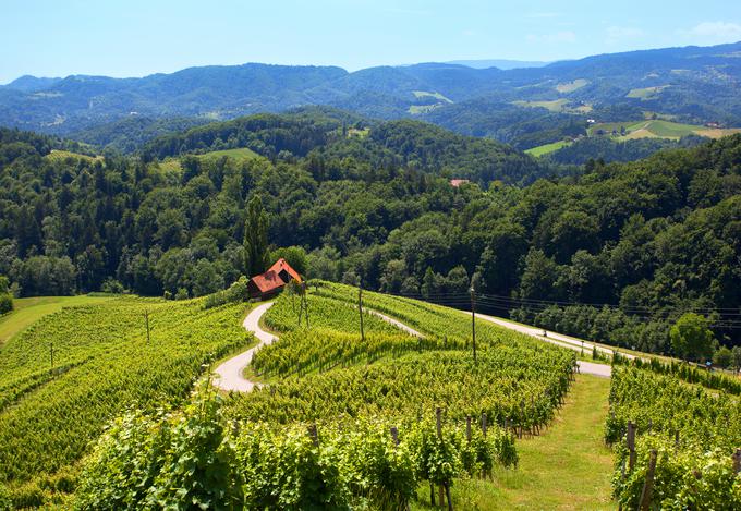 Cesta v obliki srca, ki se vije med štajerskimi vinogradi in leži v kraju Svečina v občini Kungota, je eden od najpogosteje ovekovečenih fotogeničnih obrazov Slovenije. Foto: Nea Culpa, vir: www.slovenia.info | Foto: 