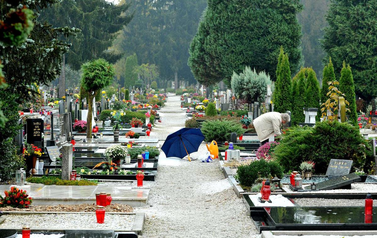 Žale | Pokopališče Žale v Ljubljani | Foto STA