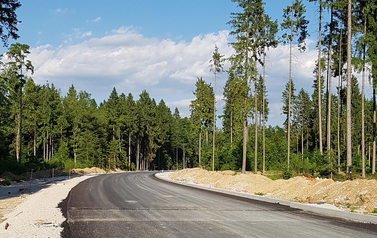 Obvoznica letališče Brnik cesta | Foto Gregor Pavšič