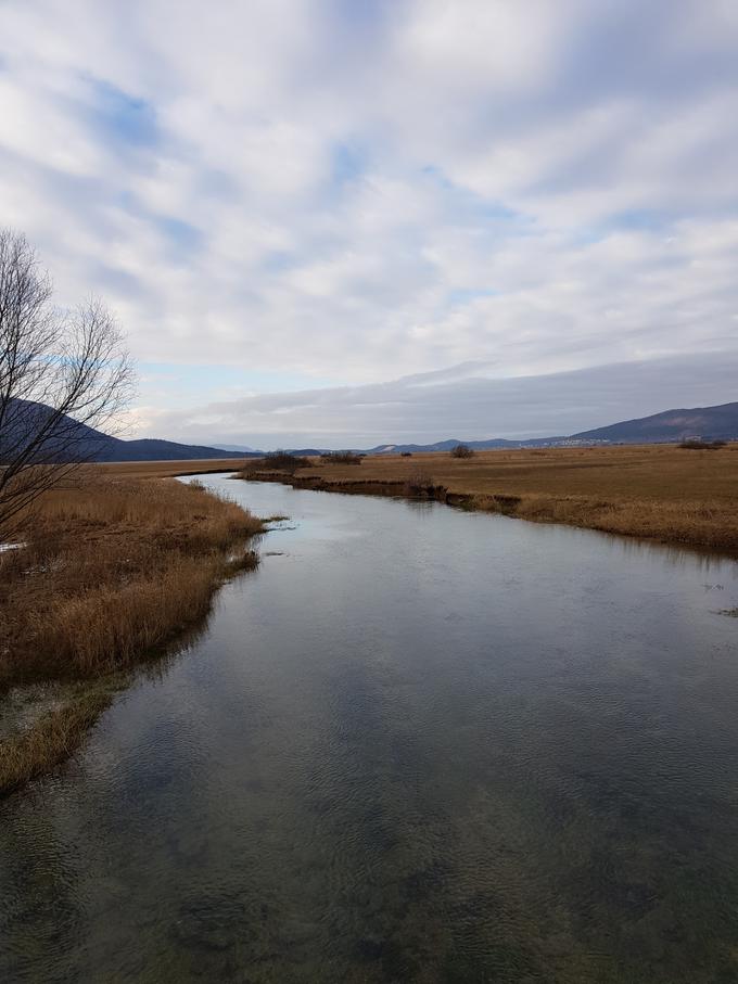 Vodotok Stržen - z obnovo okljuka Ključi se bo struga Stržena podaljšala za 1,5 kilometra. 
 | Foto: 