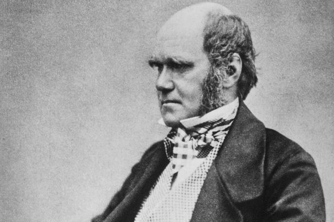 Charles Darwin | Ko je Charles Darwin začel trditi, da imajo ljudje in opice skupnega prednika, je bila to zelo pogumna izjava. Poznejša desetletja, ko so odkrivali vse več okostij človekovih prednikov, so potrdila njegove teorije. | Foto Wikimedia Commons