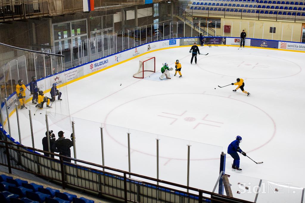 hokejska akademija Anže Kopitar Tomaž Razingar