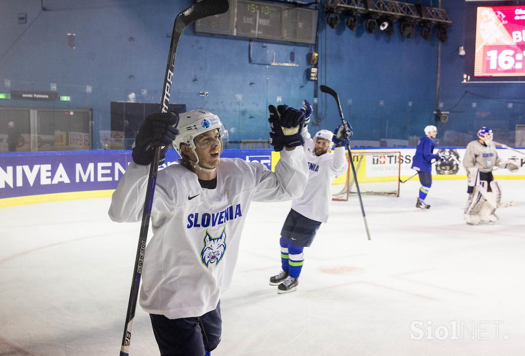 slovenska hokejska reprezentanca