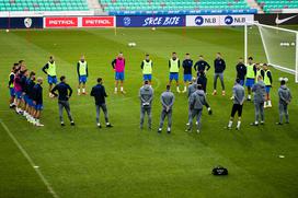 trening slovenske nogometne reprezentance, Stožice, San Marino