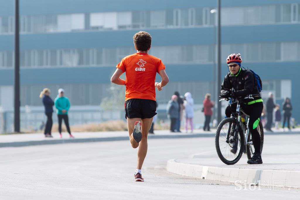 Ljubljanski maraton 2017