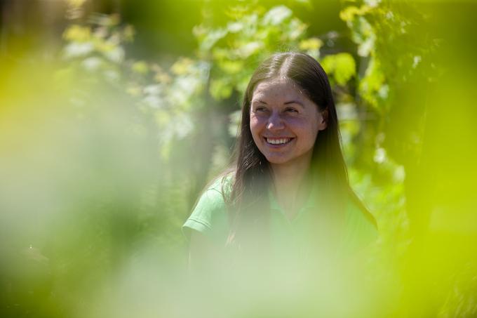 Ekološka kmetija Valentan Vodole Malečnik vino vinograd | Foto: Peter Susič