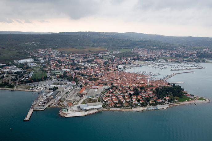 Ladjedelnica Izola | Srna je po izolski ladjedelnici zmedeno begala sem ter tja. 