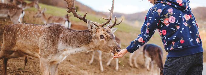 Visit Podčetrtek | Foto: 