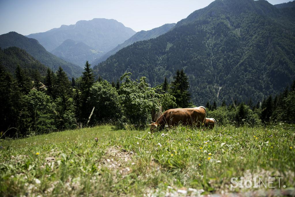 Izletniška kmetija Klemenšek Logarska dolina