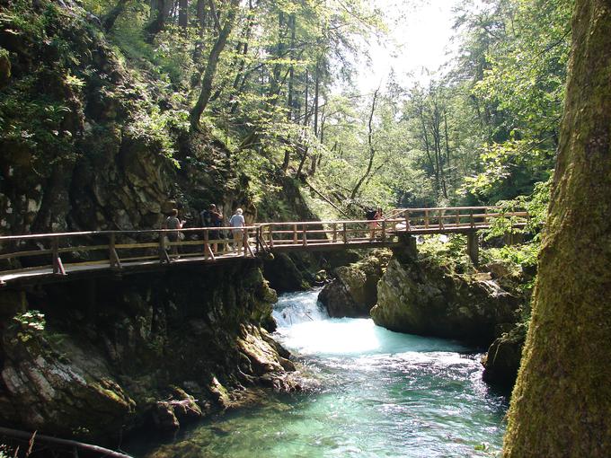 Blejski vintgar, ki je ena od najbolj priljubljenih naravnih znamenitosti na območju Gorenjske, je lani obiskalo več kot 300 tisoč ljudi. | Foto: STA ,